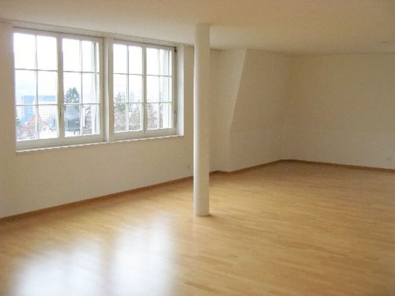 Helle und geräumige 3 1/2 Zimmerwohnung in Jugendstilhaus (6)