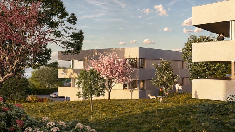 Vue extérieure Lausanne Lisière