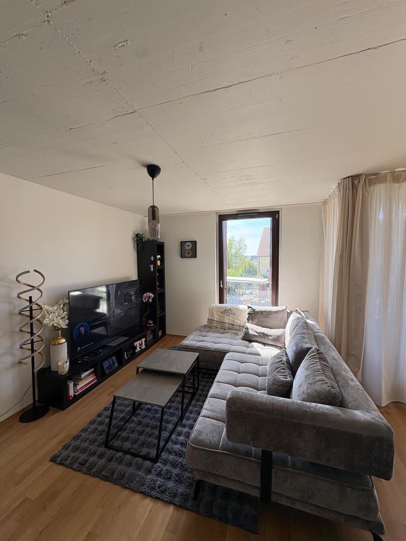 Bel appartement 2,5 pièces neuf à Crissier (2)