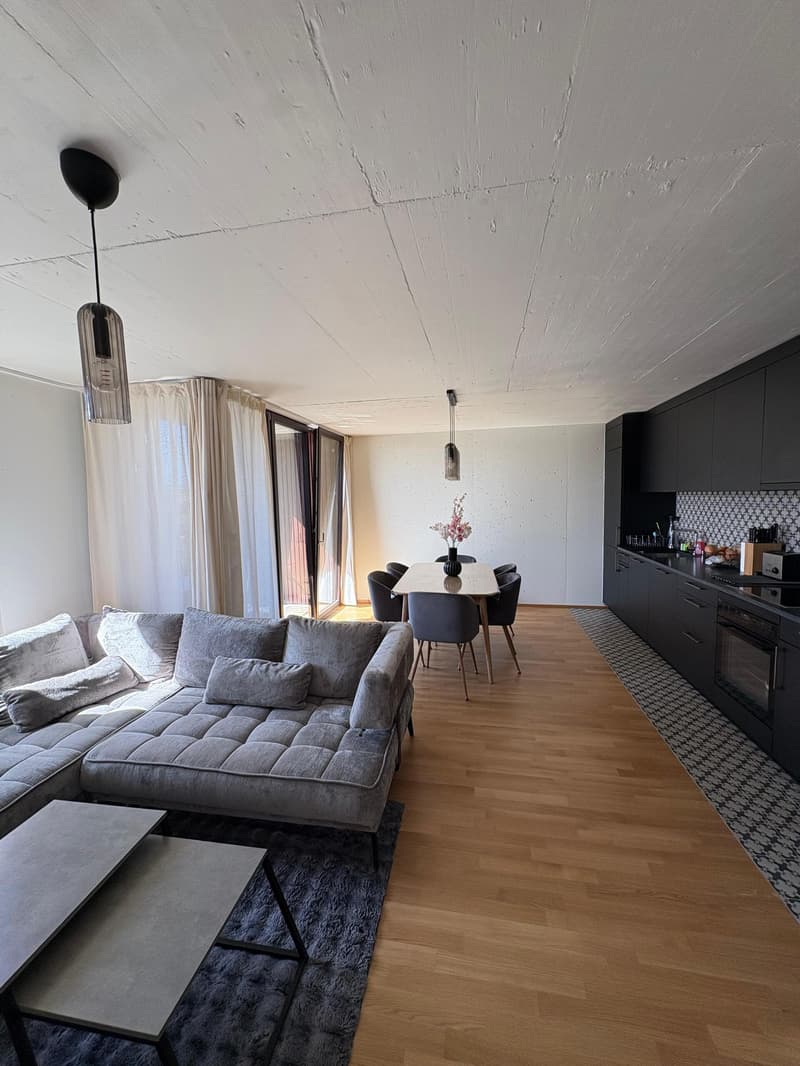 Bel appartement 2,5 pièces neuf à Crissier (1)