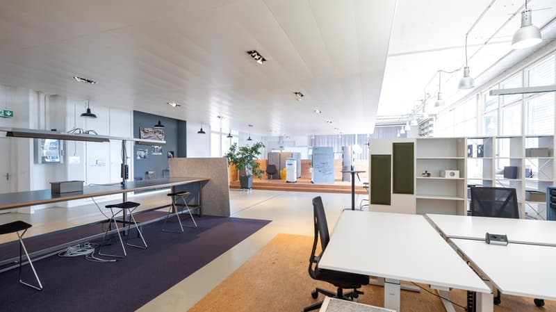 modern office with white tables and chairs, a carpet, and pendant lights