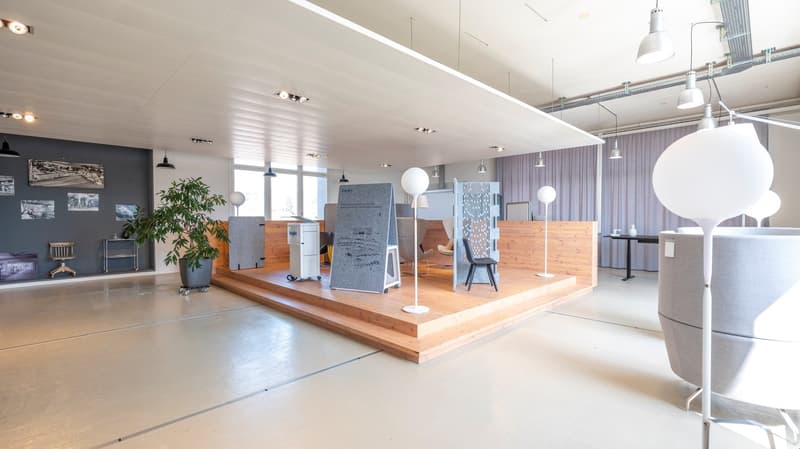 office room with wooden floor, white ceiling, black wall, desk, chair, potted plant, modern decor, big windows