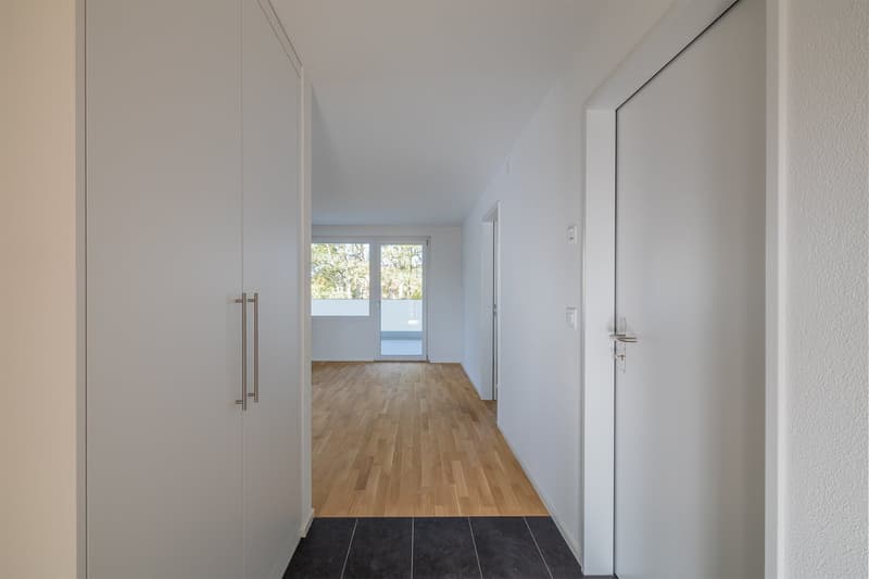 Empty hallway with wooden floor, white walls, glass window with white frames