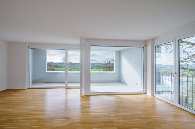 large windows, balcony, wooden floor, open space