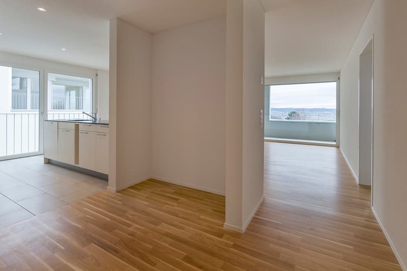 Empty room with wooden floor, white walls, large windows, balcony, kitchen area with sink and cabinets