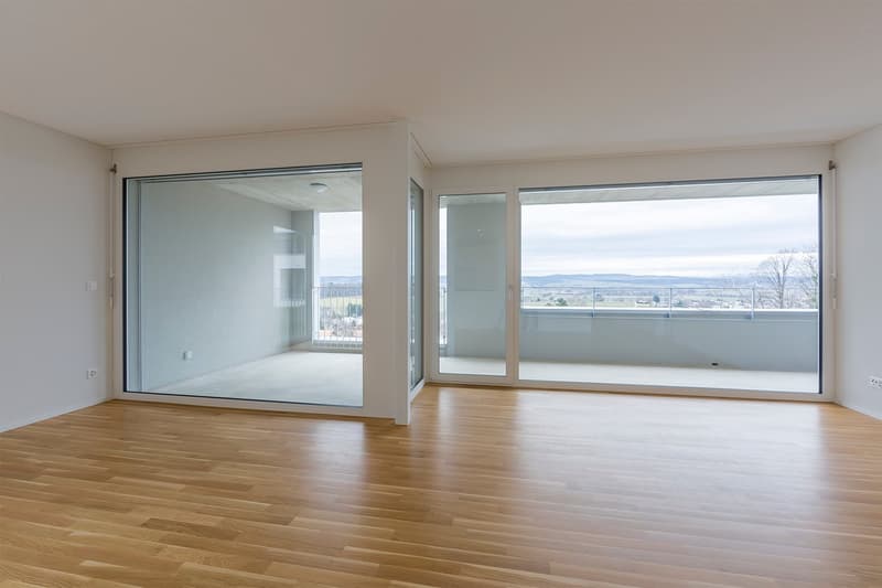 empty room, wooden floor, large glass doors, balcony, view of the outside