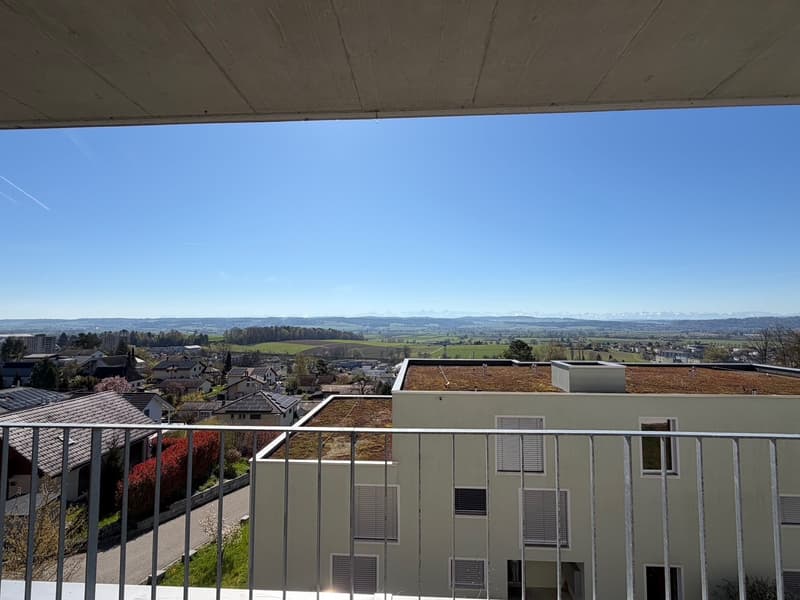 View from a balcony of a building with a green roof, overlooking a town with houses, a road, and a landscape with fields and mountains in the distance.