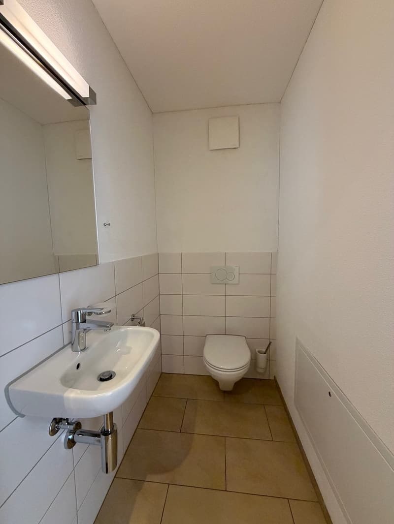 small bathroom with sink, toilet, and mirror