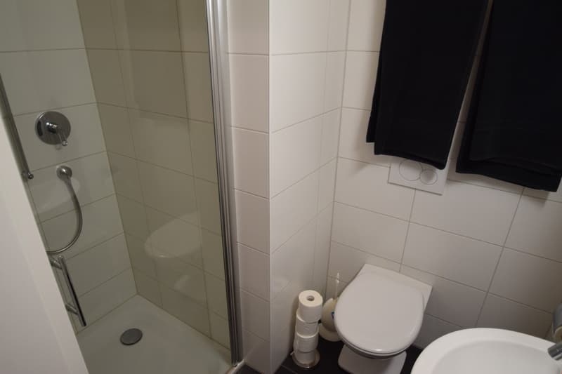 Charmante Dachgeschosswohnung mit schöner Weitsicht (11)