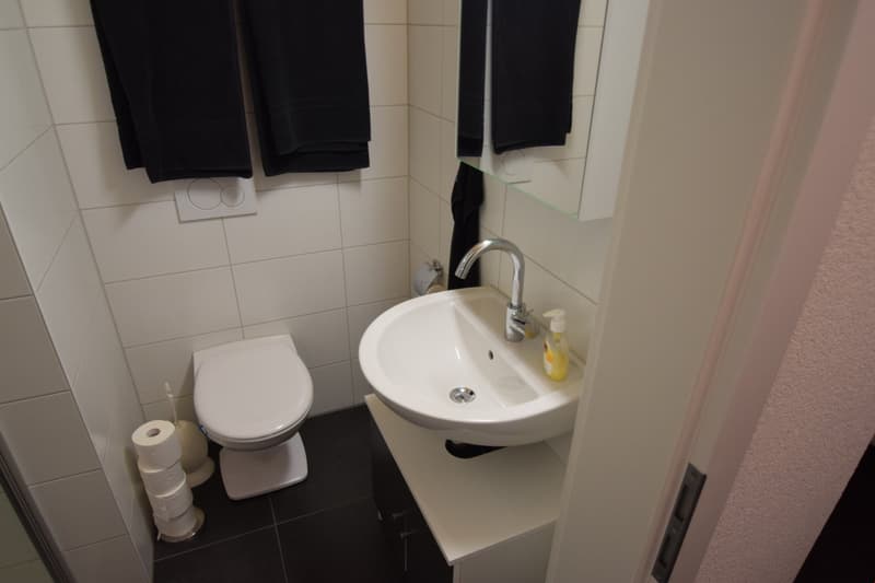 Charmante Dachgeschosswohnung mit schöner Weitsicht (10)