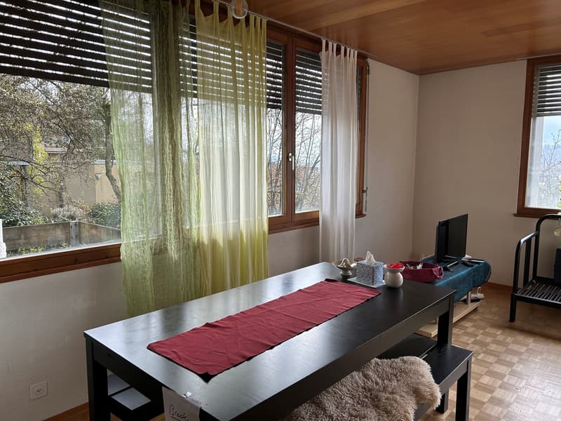 Appartamento affascinante con accesso privato in un quartiere residenziale tranquillo (3)