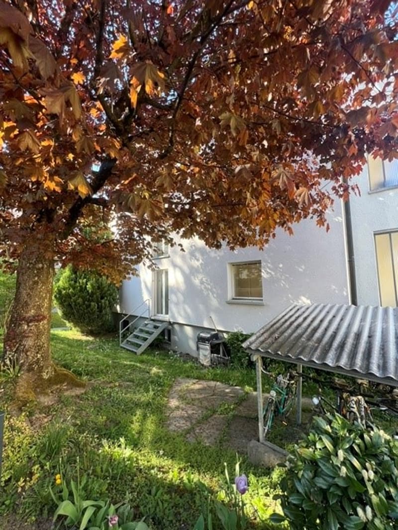 white house, tree, stairs, bicycles, metal roof, plants, grass