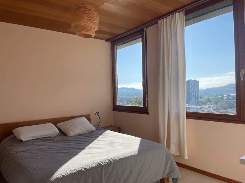 Godetevi la vista sulla città (9)