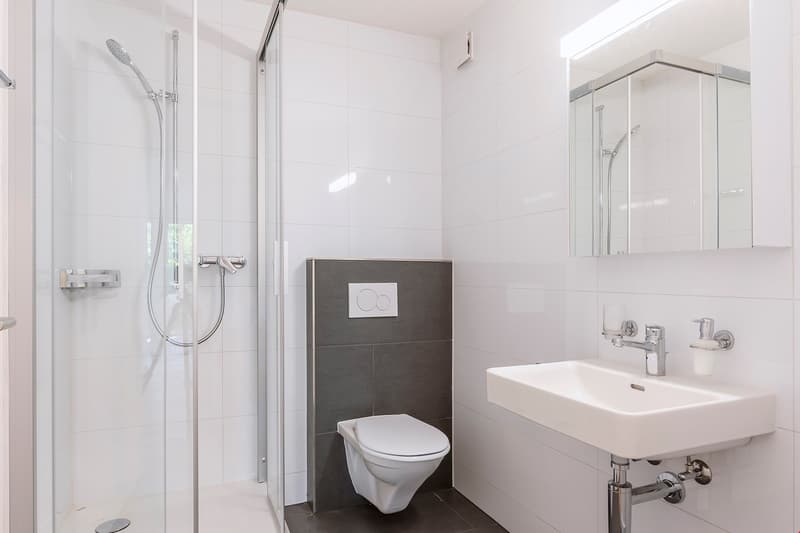5½-room duplex apartment in Laupen (13)