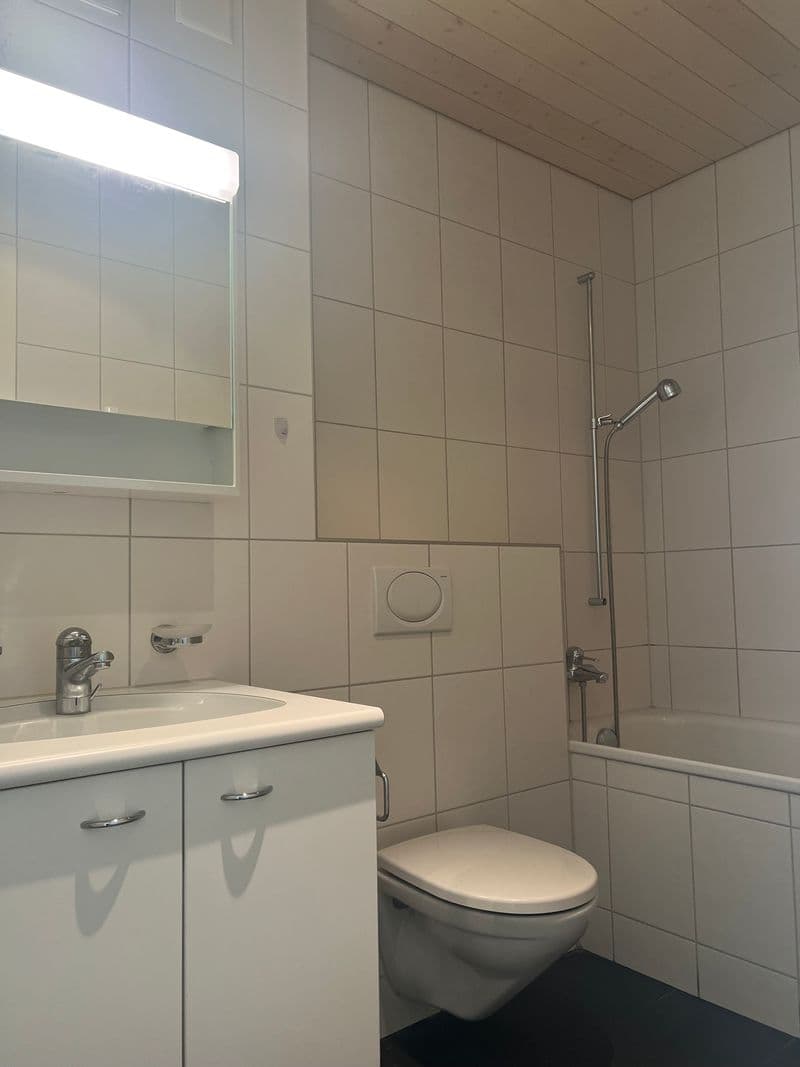 Appartement lumineux au cœur de Bern-Bümpliz (6)