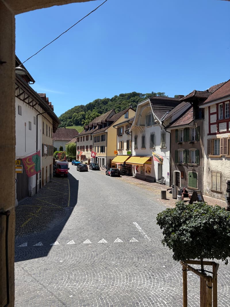 Appartement spacieux 3½ pièces au cœur d'Erlach (10)