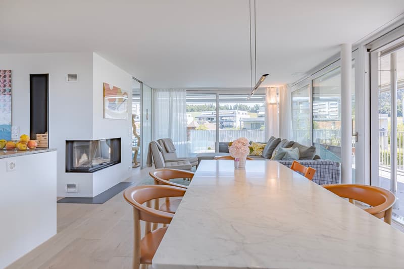 Vasta oasi di attico con terrazza di 117 m² e camino (6)