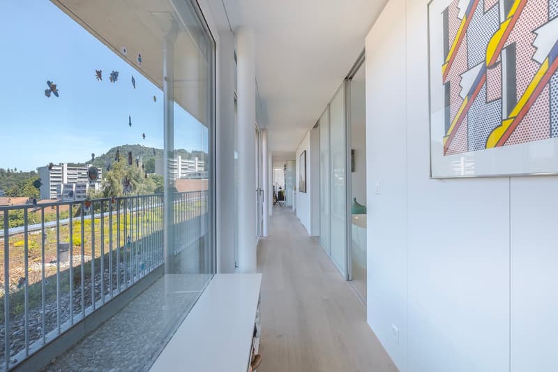 Vasta oasi di attico con terrazza di 117 m² e camino (3)