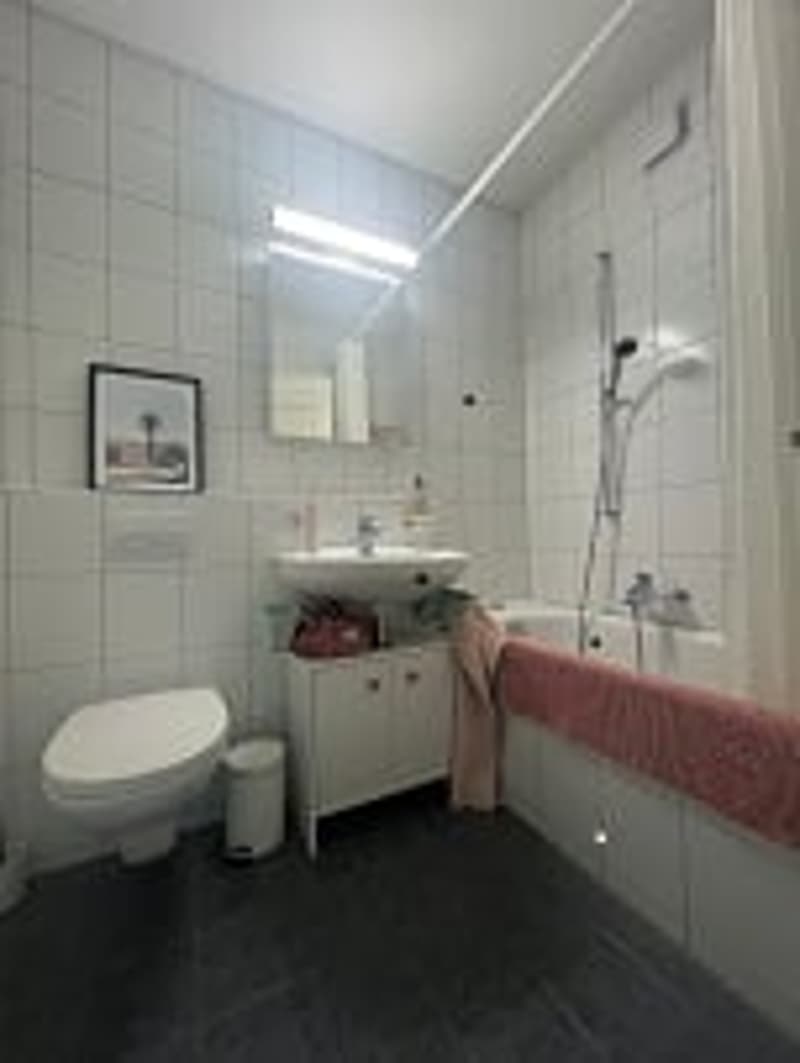 Monolocale in una posizione attraente nel quartiere di Weissenbühl (4)