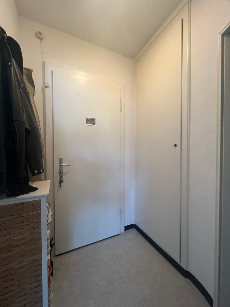 Monolocale in una posizione attraente nel quartiere di Weissenbühl (2)