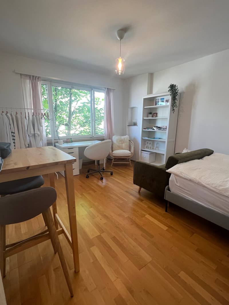 Monolocale in una posizione attraente nel quartiere di Weissenbühl (3)