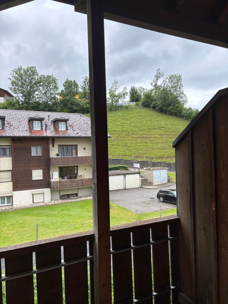 Affascinante appartamento di 3 locali in campagna (10)