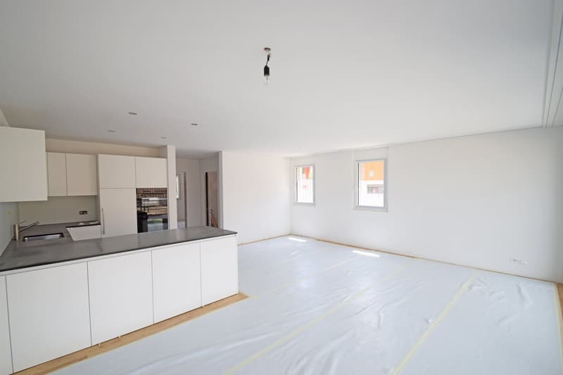 Primo affitto: Appartamento nuovo esclusivo 4.5 locali con grande terrazza a Kerzers (19)