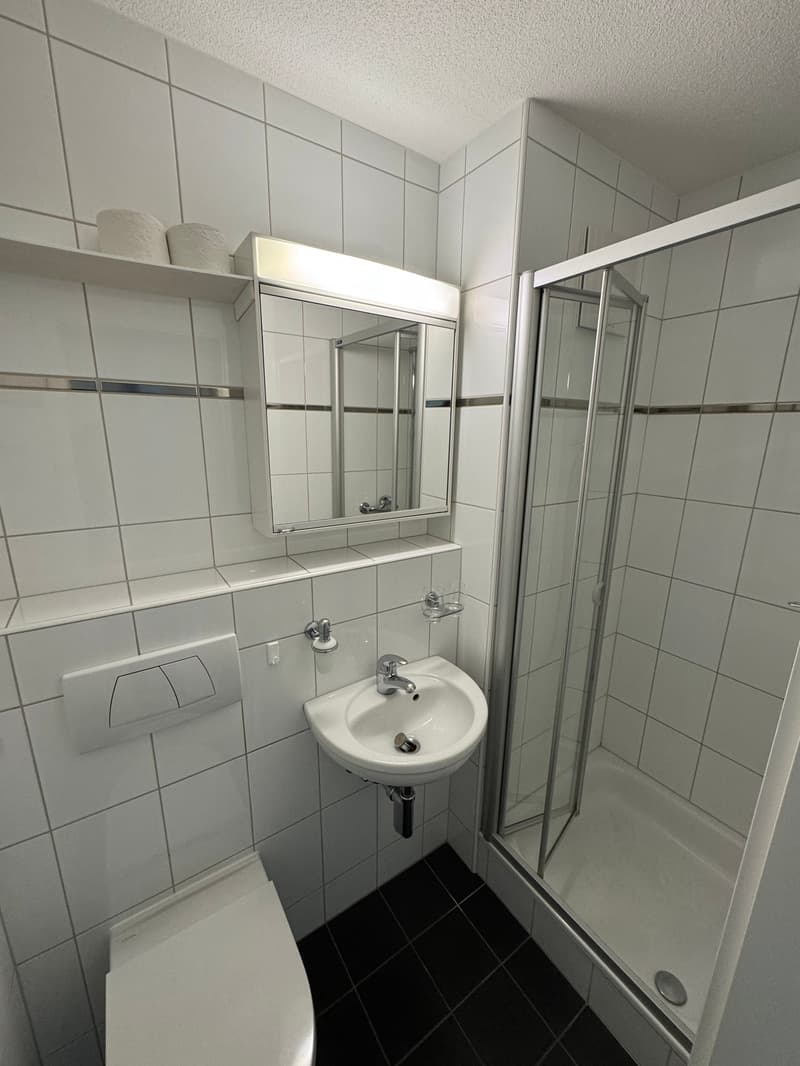 Helle 4.5-Zimmer-Wohnung mit Balkon und schöner Aussicht in Belp (4)