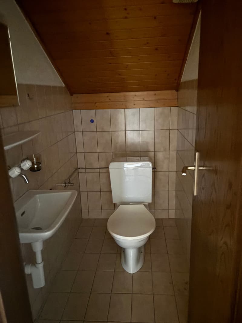 Appartement 4.5 pièces avec caractère confortable (11)