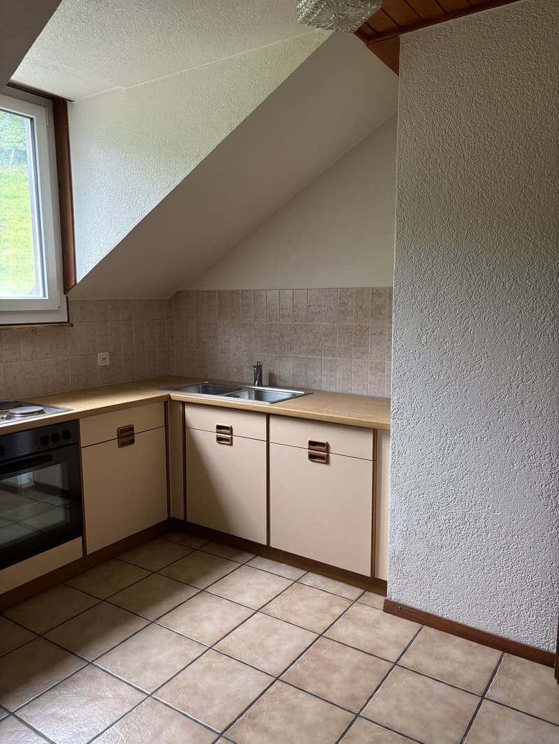 Appartement 4.5 pièces avec caractère confortable (4)