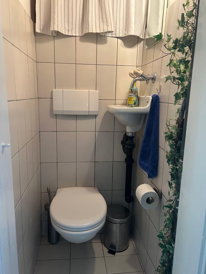 Büro-/Praxisflächen in der Altstadt Murten – ideal für Co-Working, Pop-Ups oder temporäre Nutzung (12)
