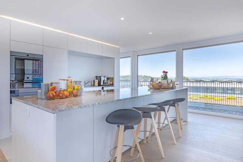 Grosszügige Attika-Oase mit 117 m² Terrasse und Cheminée (1)