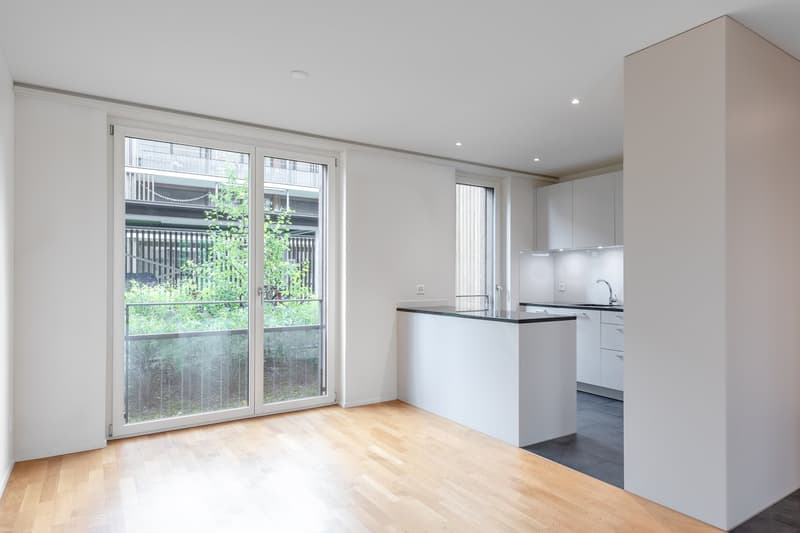 Appartement lumineux 4.5 pièces avec balcon et norme Minergie (2)