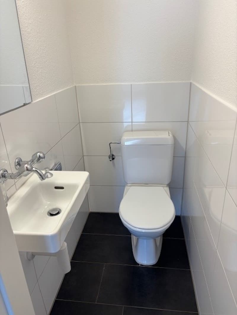 Centrally located apartment near the lake! (10)