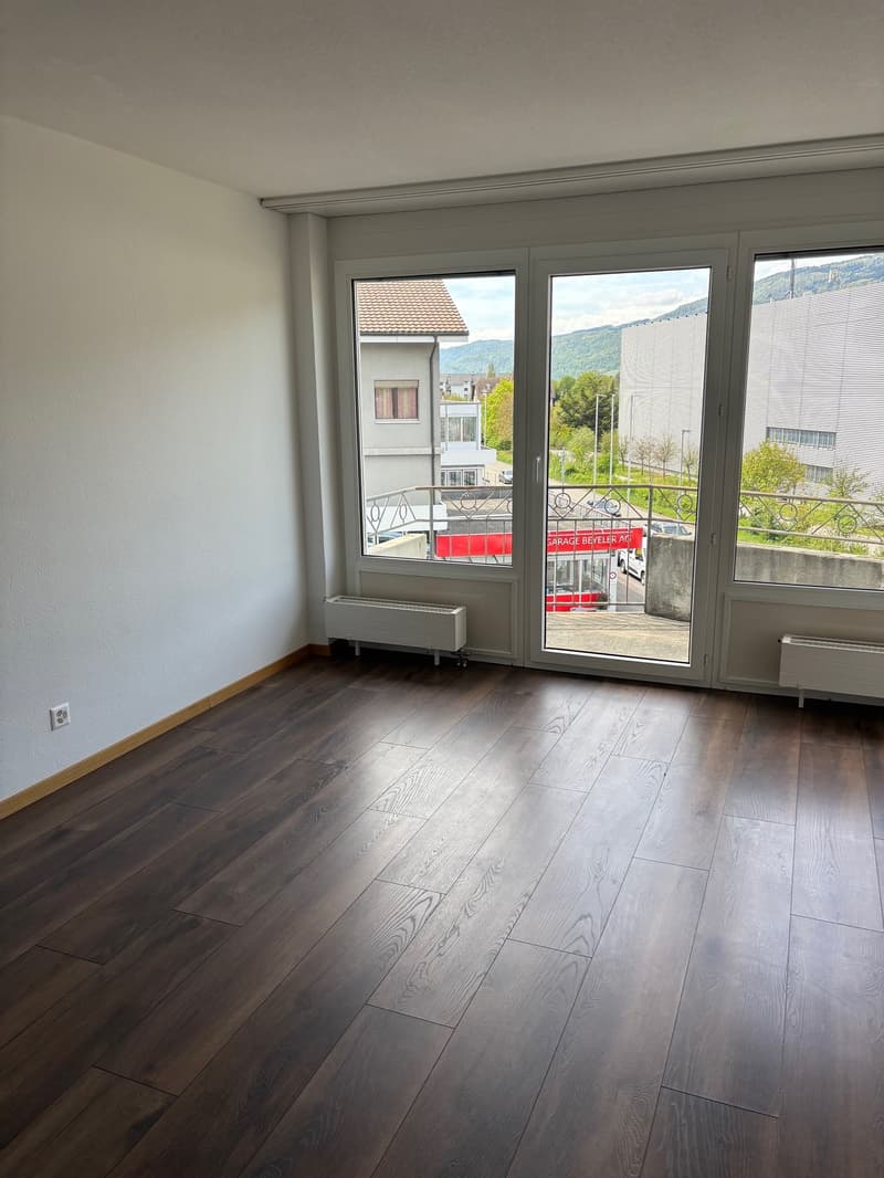 Centrally located apartment near the lake! (2)