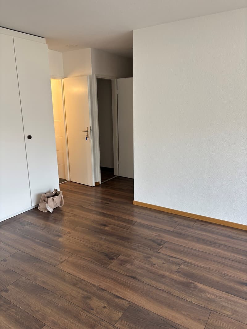 Centrally located apartment near the lake! (3)