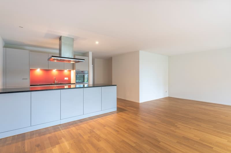 Appartement dans un environnement vert recherché? (5)