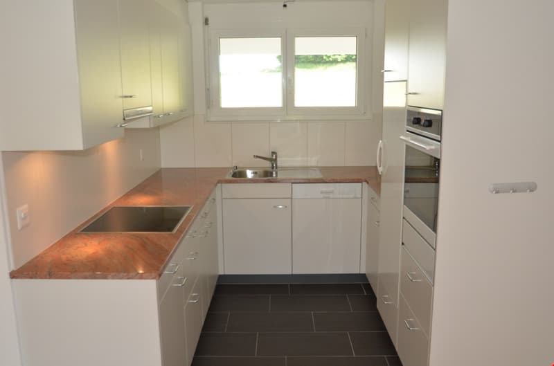 Appartements maisonnette modernes dans un quartier calme (3)