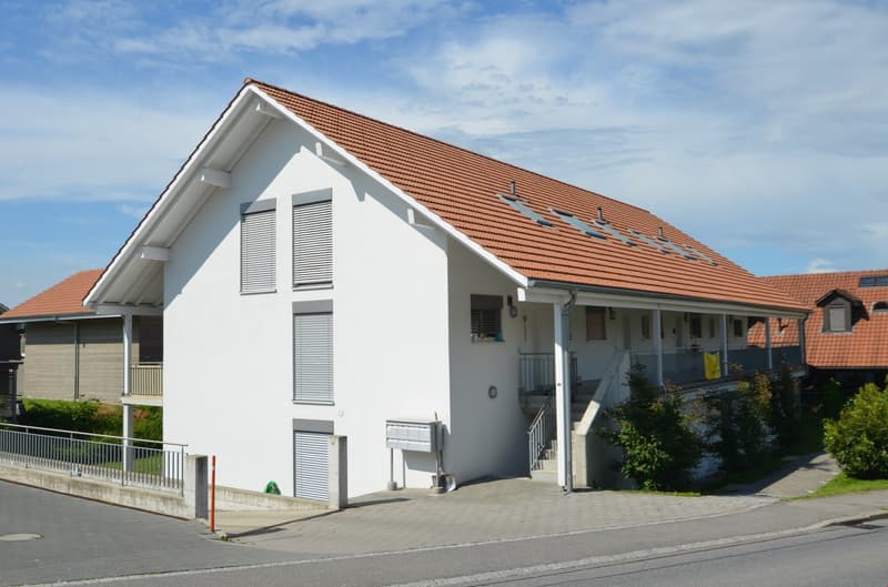 Appartements maisonnette modernes dans un quartier calme (1)