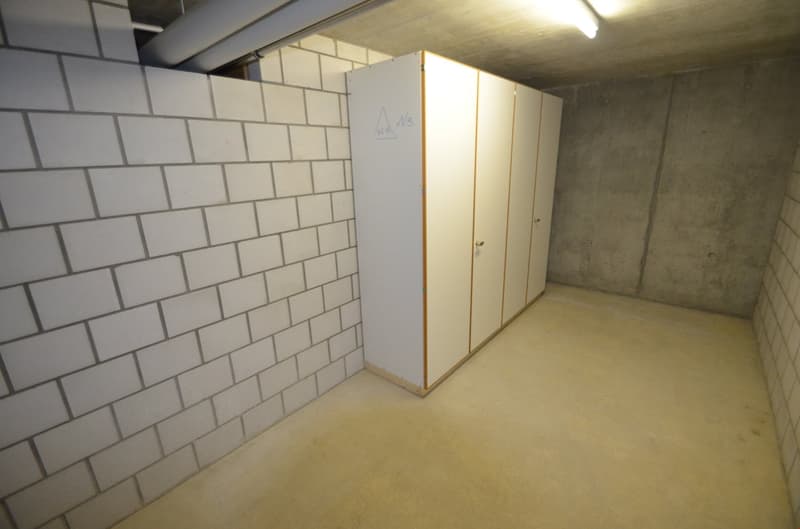 Appartements maisonnette modernes dans un quartier calme (13)