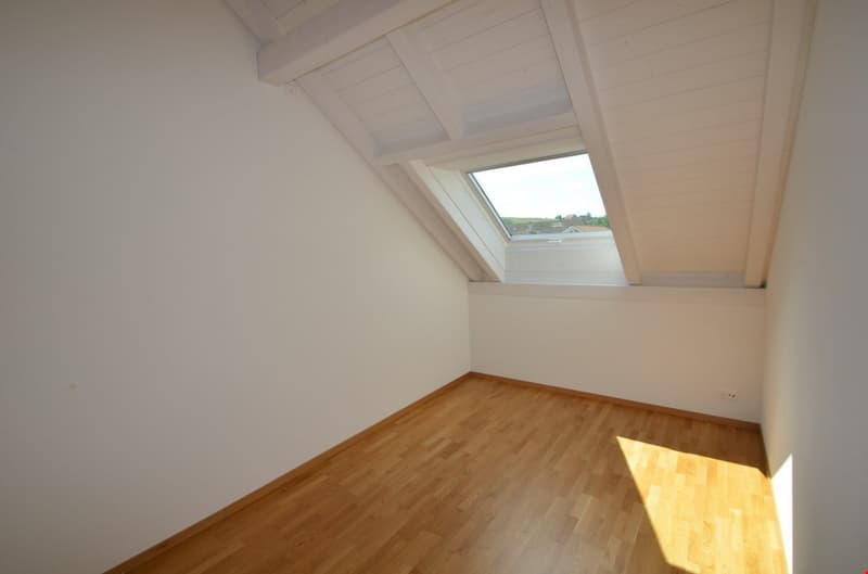 Appartements maisonnette modernes dans un quartier calme (7)