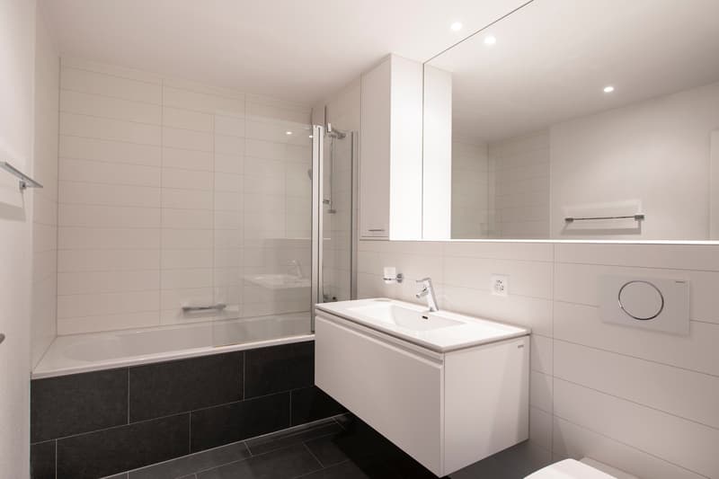 Appartement spacieux dans un quartier calme à louer (6)