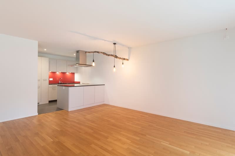 Appartement spacieux dans un quartier calme à louer (3)