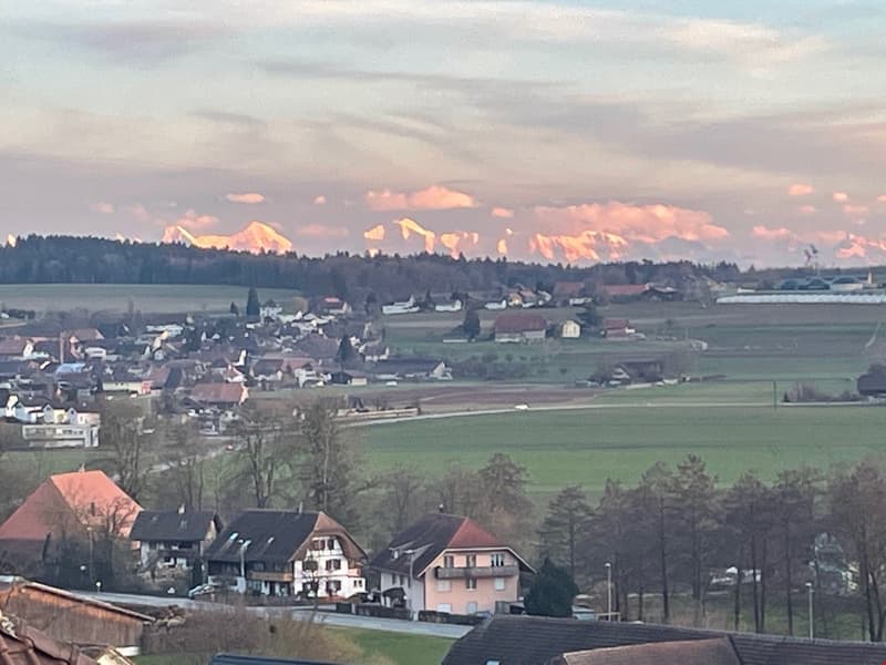 Ihre neue Wohnung im Schlössli (7)
