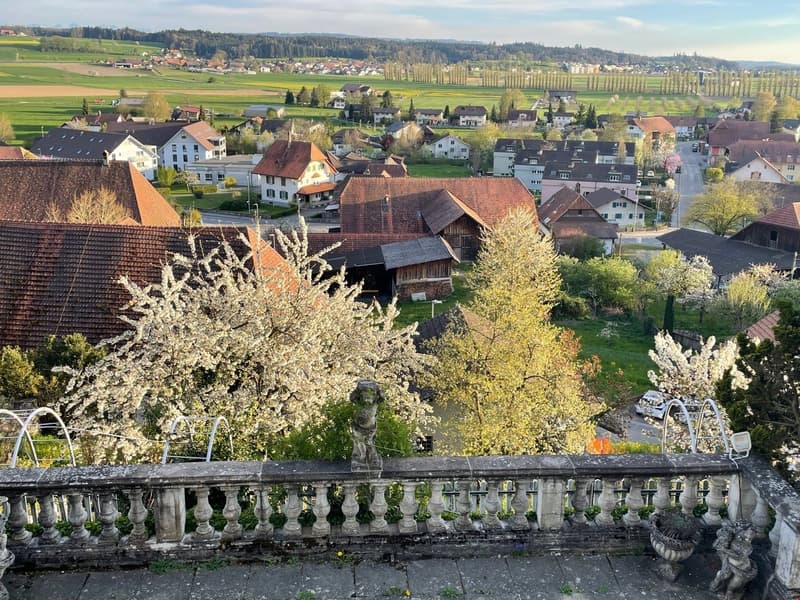 Ihre neue Wohnung im Schlössli (6)