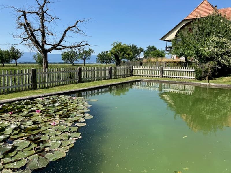 Wohnung mit Charme auf dem Land mit herrlicher Aussicht (10)