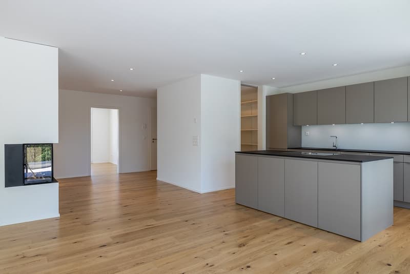 3.5-Zimmer Attikawohnung - fast wie im Eigenheim (1)