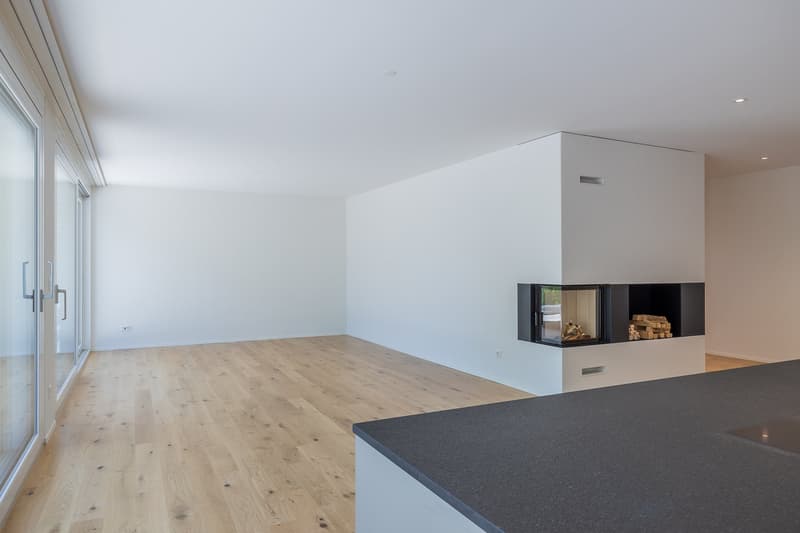 3.5-Zimmer Attikawohnung - fast wie im Eigenheim (3)