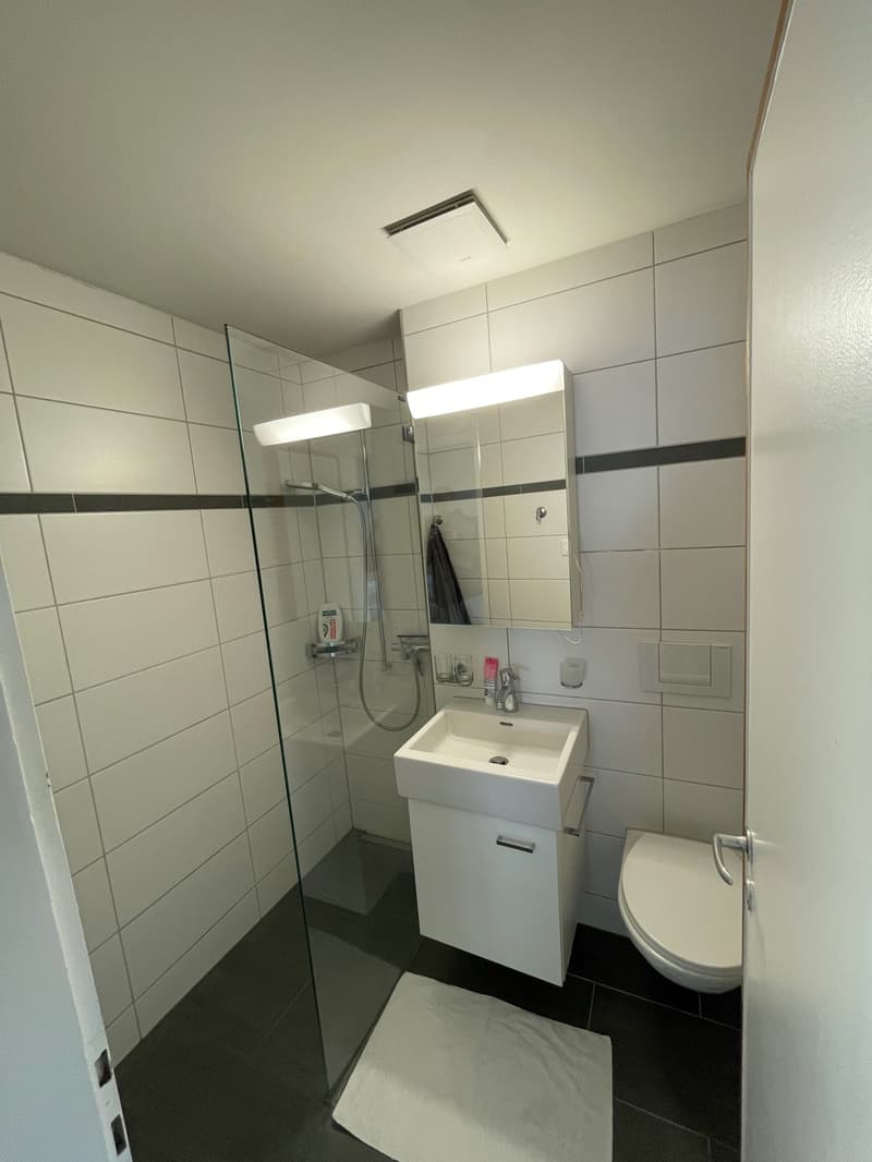 Sonnige, helle Wohnung in ruhigem Wohnquartier (3)