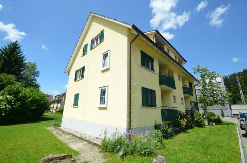 Sonnige, helle Wohnung in ruhigem Wohnquartier (1)